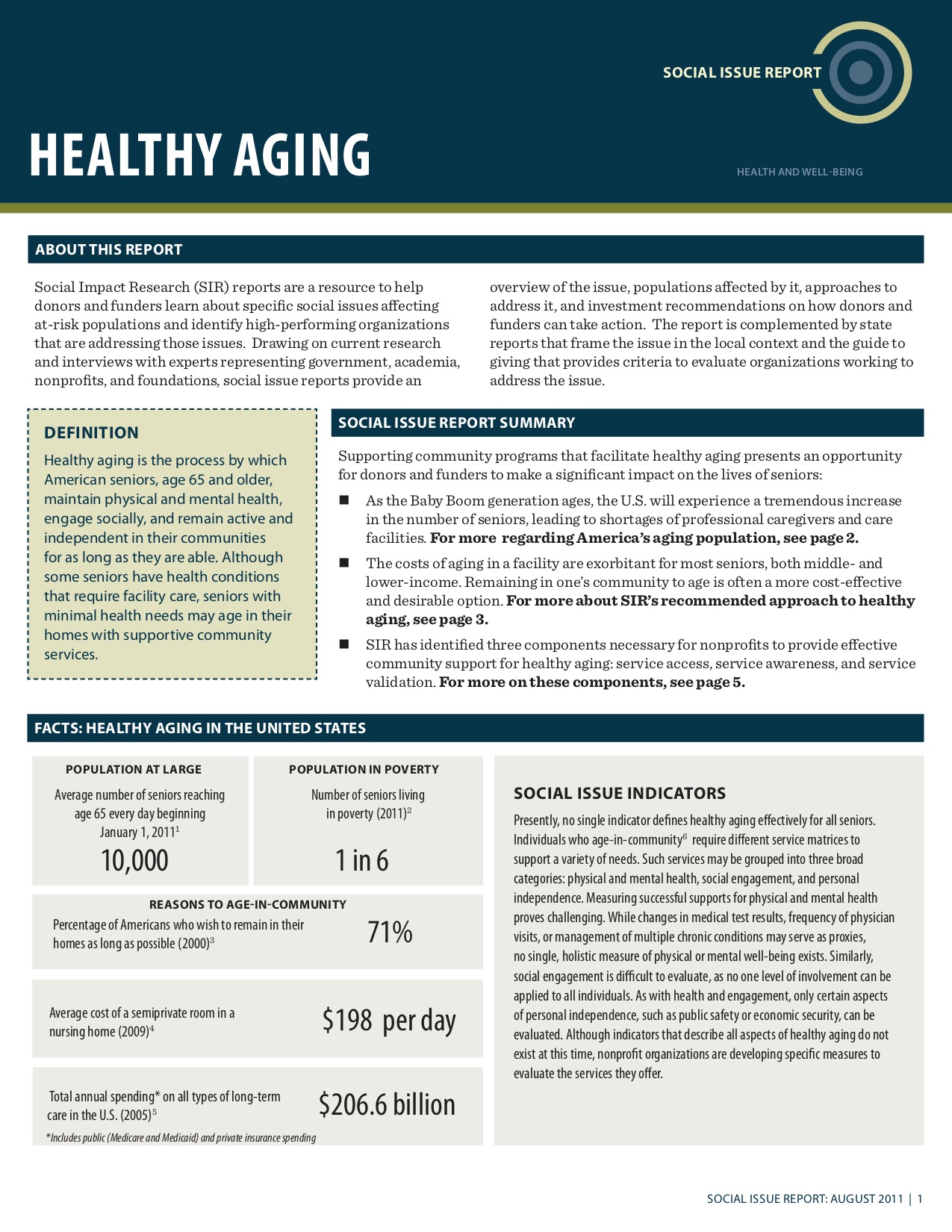Healthy Aging: Social Issue Report