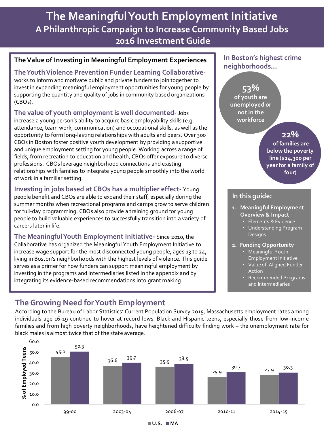 Meaningful Youth Employment Investment Guide 2016